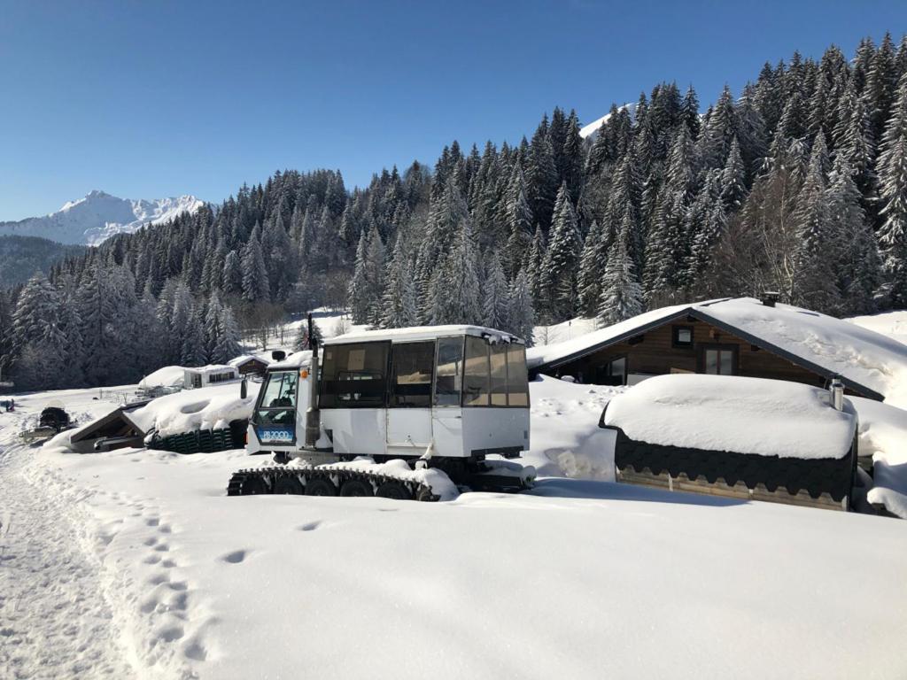 La Cote d'Arbroz La Chanterelle - Mountain Lodge מראה חיצוני תמונה