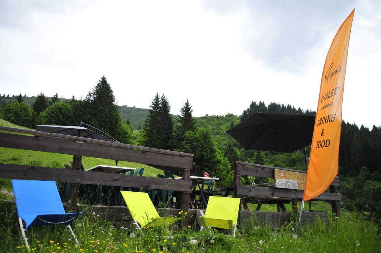 La Cote d'Arbroz La Chanterelle - Mountain Lodge מראה חיצוני תמונה